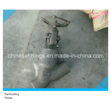 Cl1500 Forged A105n Y Threaded /Thread Globe Valve